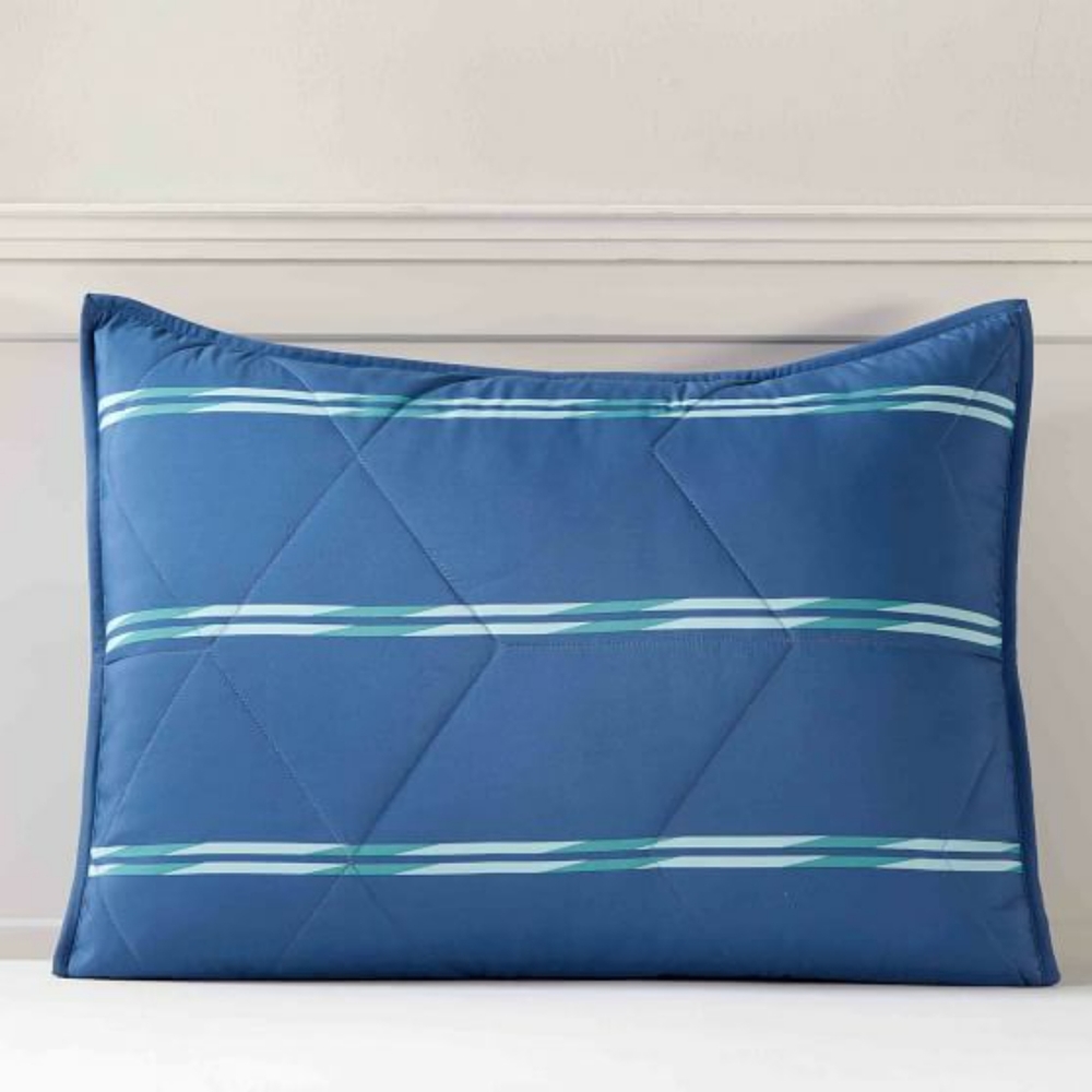 BNWT Pottery Barn Teen Terrain Stripe Microfiber Shams (2 Standard Size Shams)